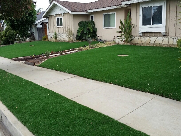 Artificial Turf Downers Grove Illinois Landscape Back Yard