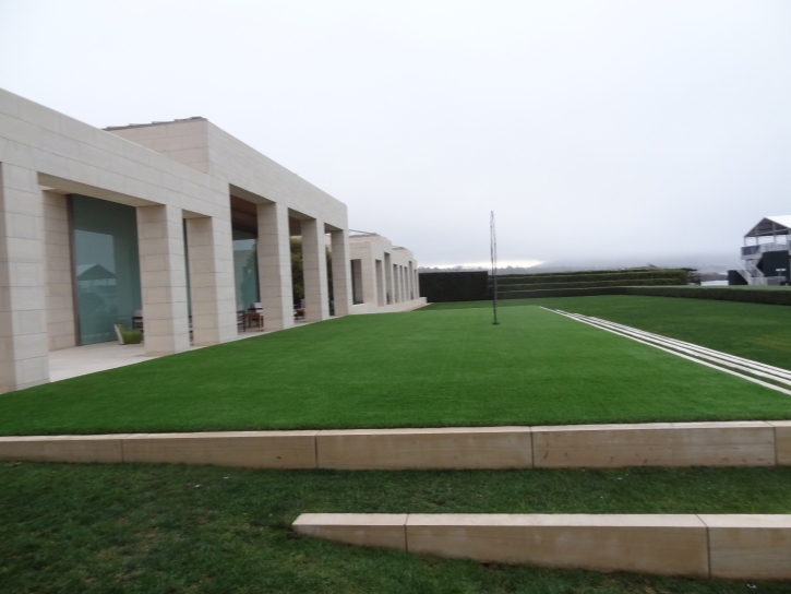 Artificial Turf Forest View Illinois Landscape