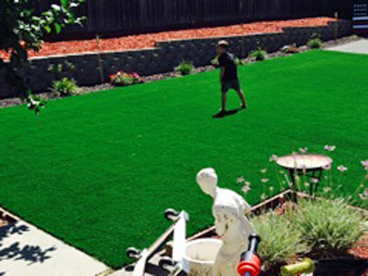 Artificial Turf Glenview Illinois Landscape Commercial