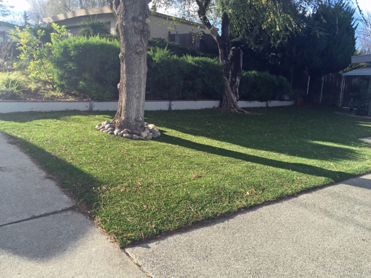 Artificial Turf Hobart Indiana Landscape