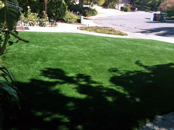 Artificial Turf Homer Glen Illinois Lawn Back Yard