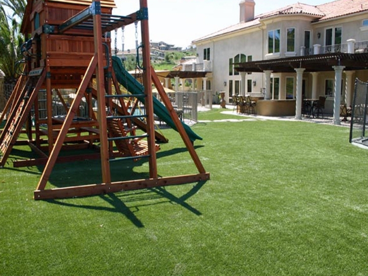 Artificial Turf La Grange Illinois Kids Care