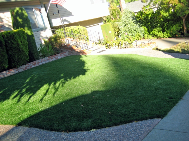 Artificial Turf Lemont Illinois Lawn Front Yard