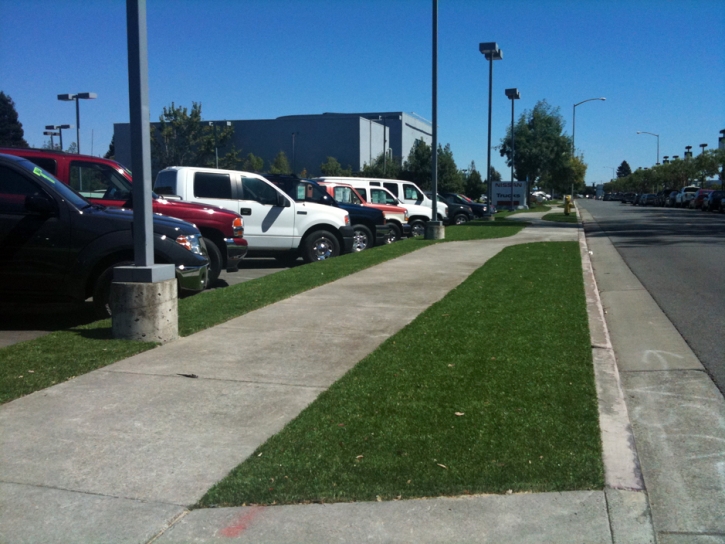 Artificial Turf Maywood Illinois Lawn Back Yard