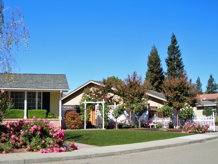 Artificial Turf Mount Prospect Illinois Lawn Commercial