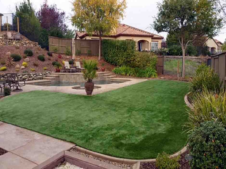 Artificial Turf New Lenox Illinois Landscape Back Yard