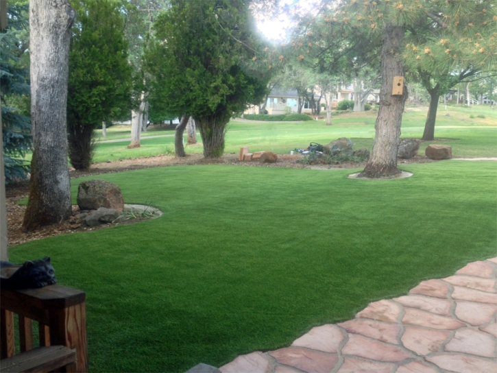 Artificial Turf Northlake Illinois Lawn Back Yard