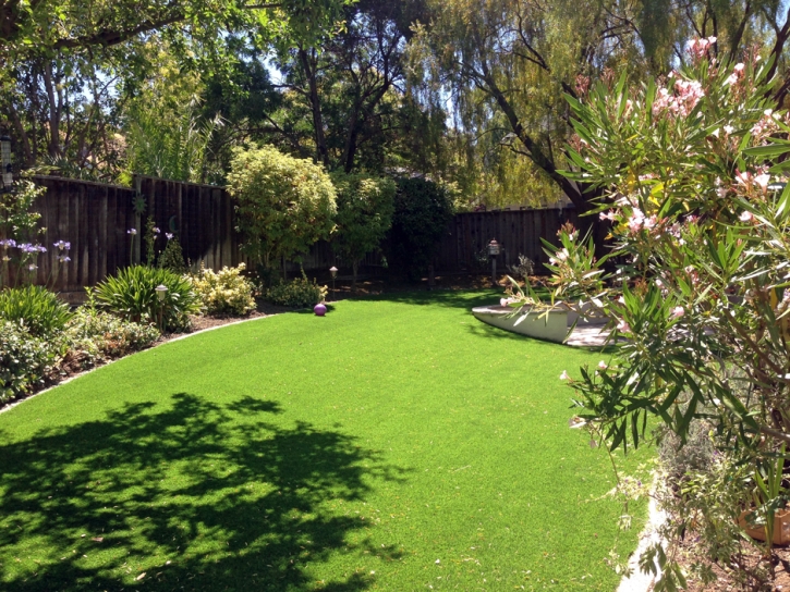 Artificial Turf Oak Lawn Illinois Lawn