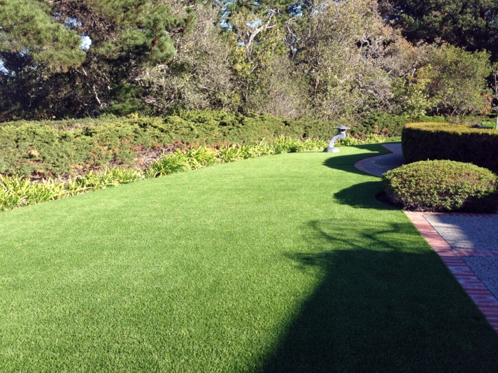 Artificial Turf Palos Hills Illinois Landscape Back Yard