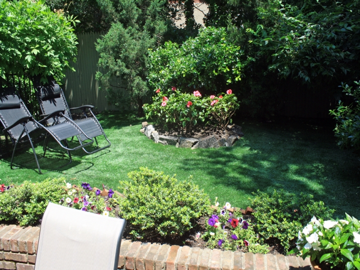 Artificial Turf Palos Park Illinois Lawn Back Yard