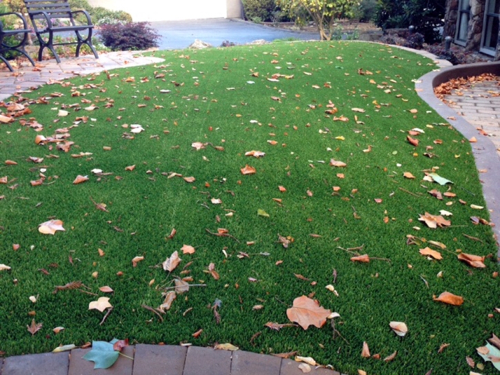 Artificial Turf Park Forest Illinois Landscape Front Yard