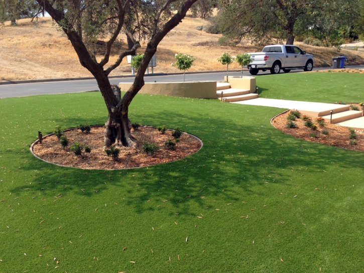 Artificial Turf Phoenix Illinois Landscape Front Yard