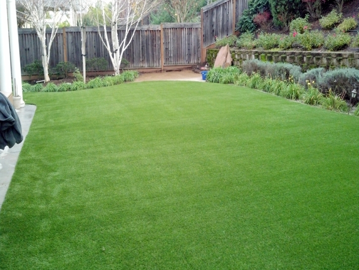 Artificial Turf Posen Illinois Landscape Back Yard