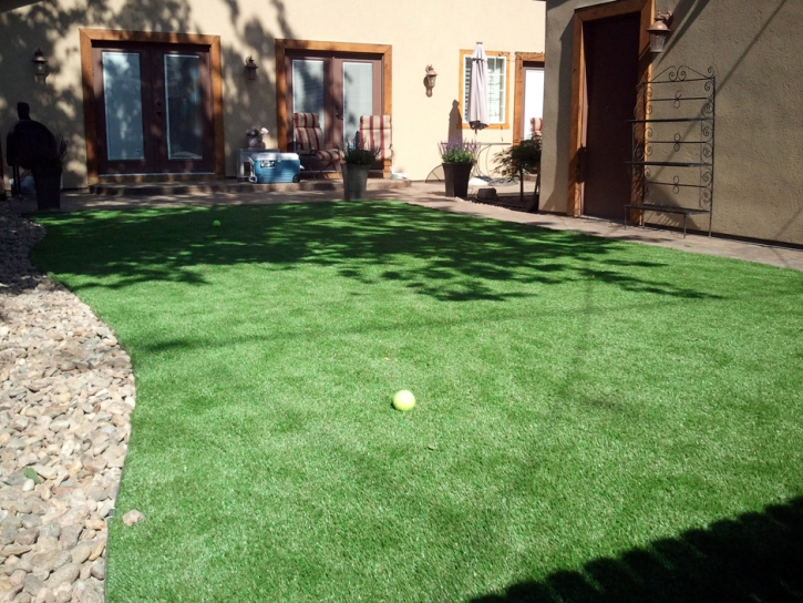 Artificial Turf Posen Illinois Landscape Front Yard