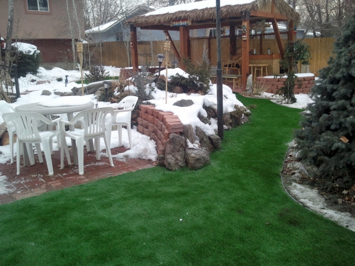 Artificial Turf Riverside Illinois Lawn Commercial Landscape