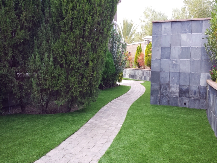 Artificial Turf Robbins Illinois Landscape Back Yard