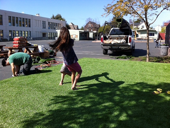 Artificial Turf Robbins Illinois Landscape Front Yard