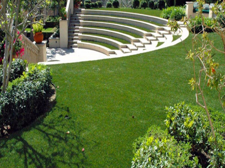 Artificial Turf Rolling Meadows Illinois Lawn Front Yard