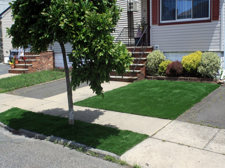 Artificial Turf Rosemont Illinois Landscape Back Yard