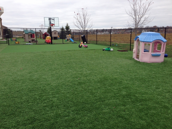 Artificial Turf Schiller Park Illinois School Front Yard