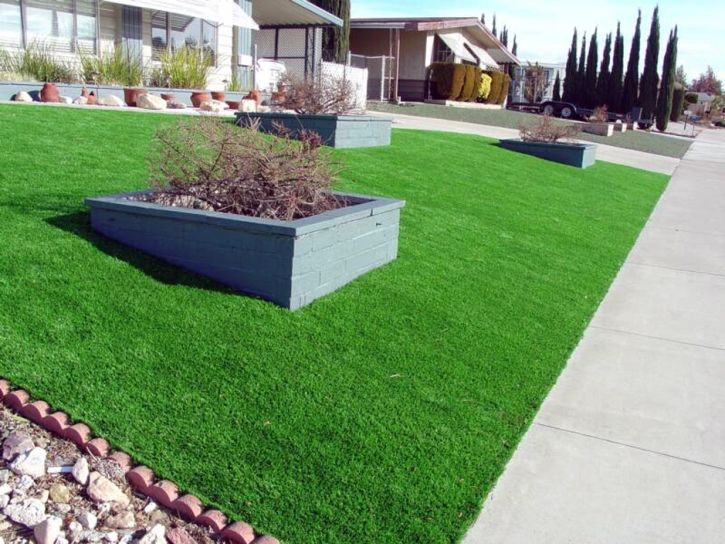 Artificial Turf South Barrington Illinois Lawn