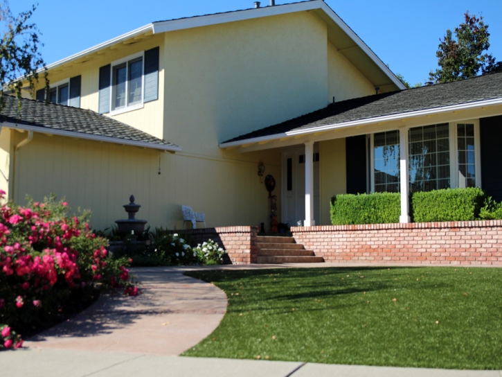 Artificial Turf Thornton Illinois Landscape Front Yard