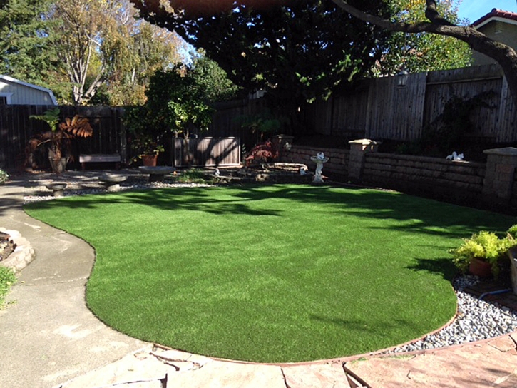 Artificial Turf Vernon Hills Illinois Lawn