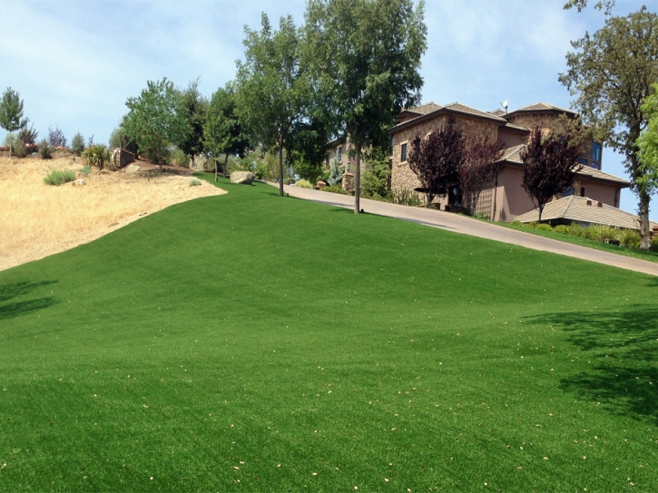 Artificial Turf Western Springs Illinois Landscape Back