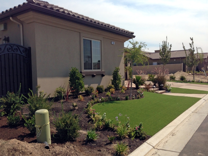 Artificial Turf Willowbrook Illinois Landscape Front Yard