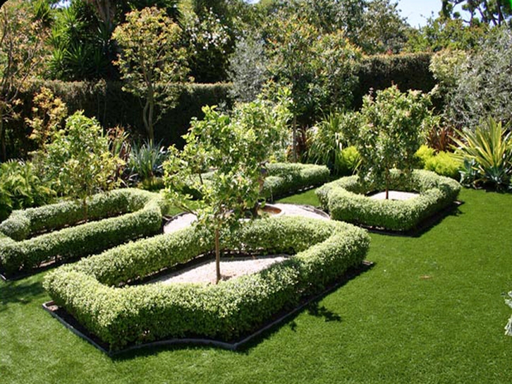 Artificial Turf Winnetka Illinois Landscape Front Yard