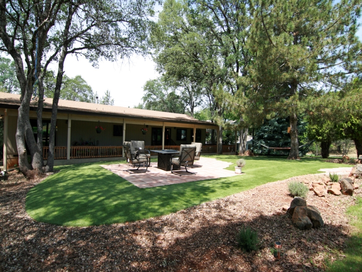 Fake Grass Burbank Illinois Landscape Commercial Landscape