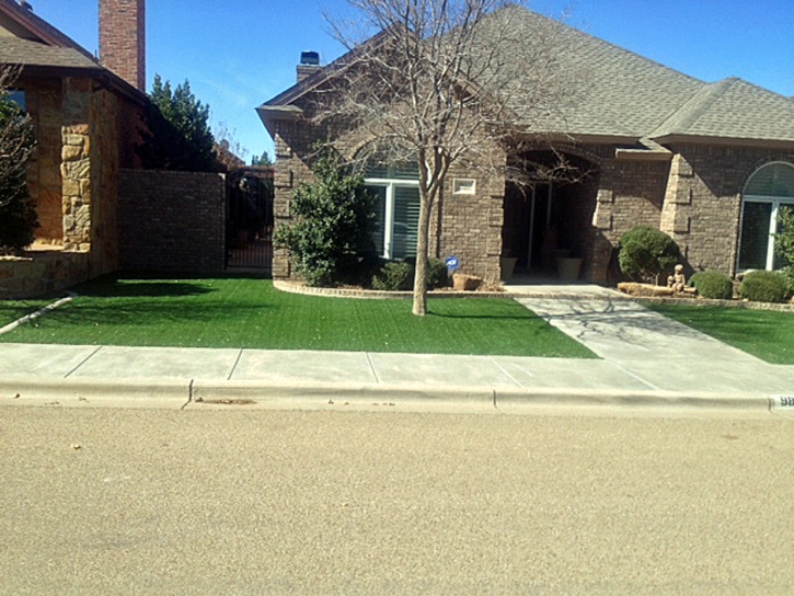 Fake Grass Chicago Heights Illinois Landscape Swimming