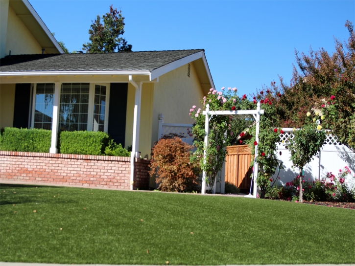 Fake Grass Downers Grove Illinois Landscape Front Yard