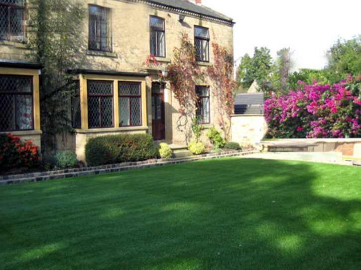 Fake Grass Dyer Indiana Lawn Back Yard