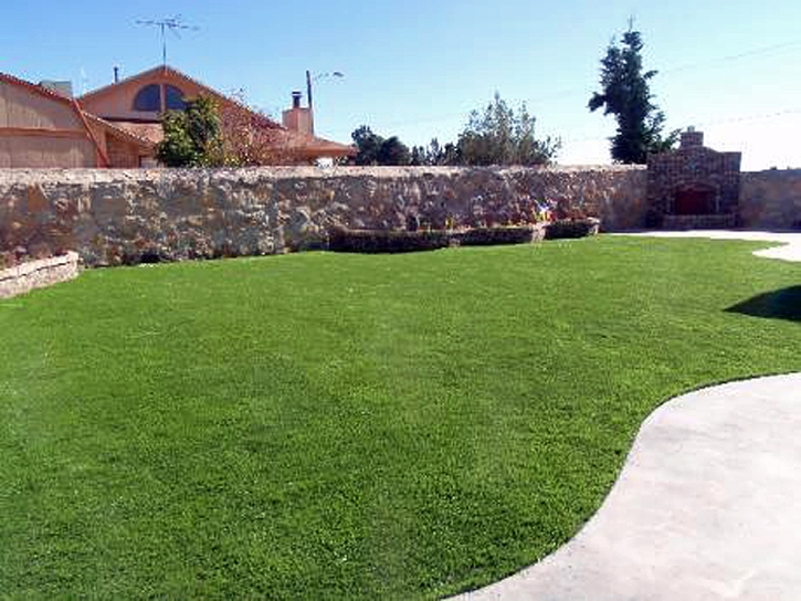 Fake Grass Frankfort Illinois Landscape Back Yard