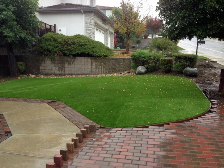 Fake Grass Glendale Heights Illinois Landscape Back Yard