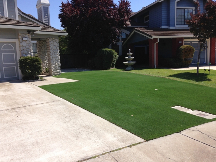 Fake Grass Hillside Illinois Landscape Front Yard