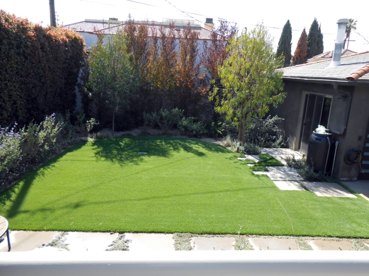 Fake Grass Kenilworth Illinois Landscape Back Yard