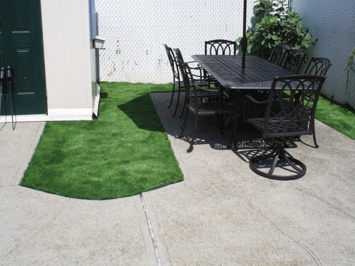 Fake Grass Lemont Illinois Lawn Back Yard