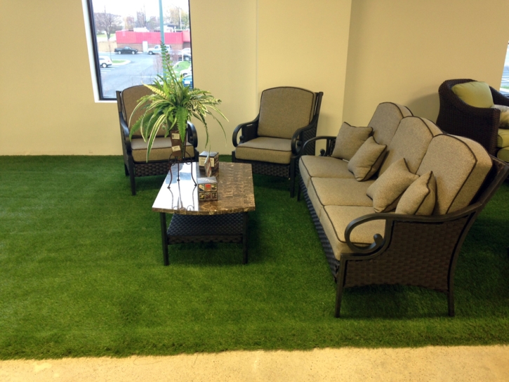 Fake Grass Mokena Illinois Lawn Commercial Landscape