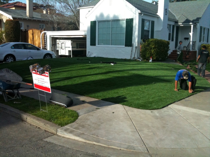 Fake Grass Prospect Heights Illinois Landscape Back Yard