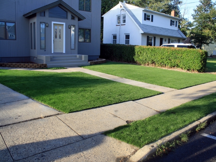 Fake Grass Roselle Illinois Landscape Front Yard