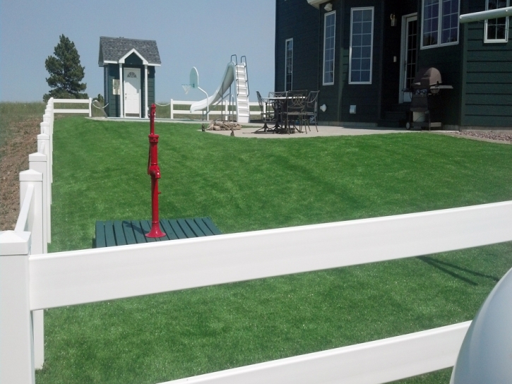 Fake Grass Rosemont Illinois Lawn Fountans Back Yard