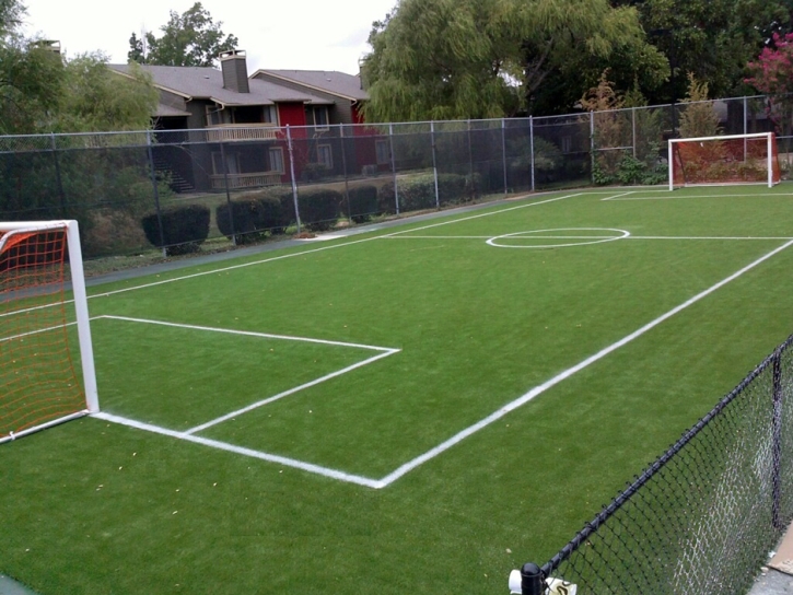 Fake Grass Sports Stone Park Illinois Front Yard