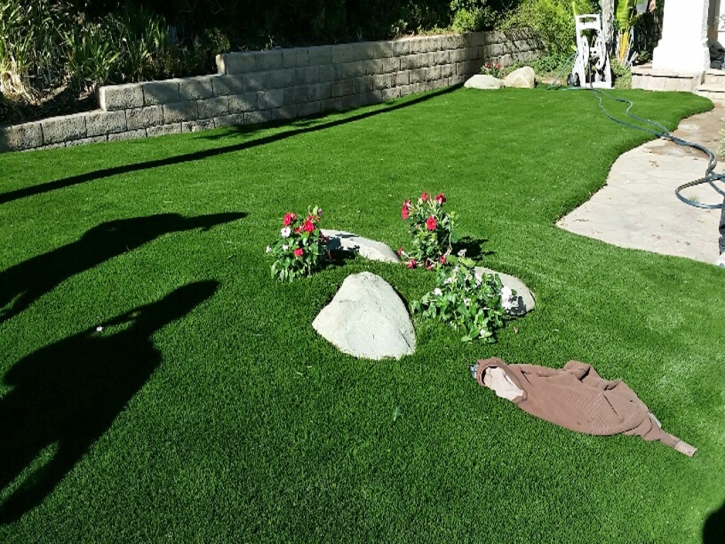 Fake Grass Wood Dale Illinois Lawn Commercial Landscape