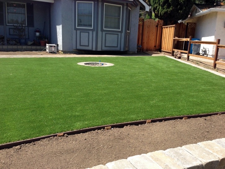 Fake Grass Worth Illinois Landscape Back Yard