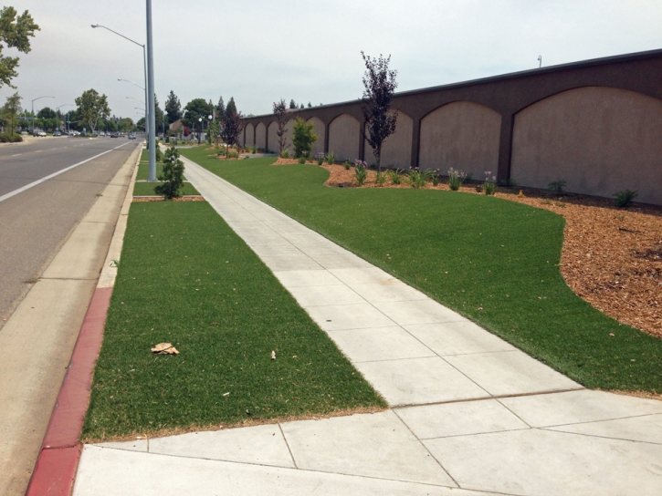 Fake Turf Alsip Illinois Landscape