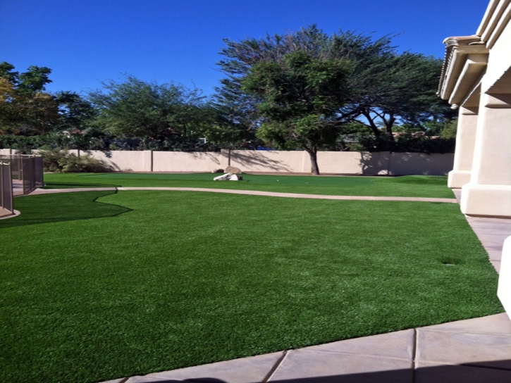 Fake Turf Bellwood Illinois Landscape Back Yard