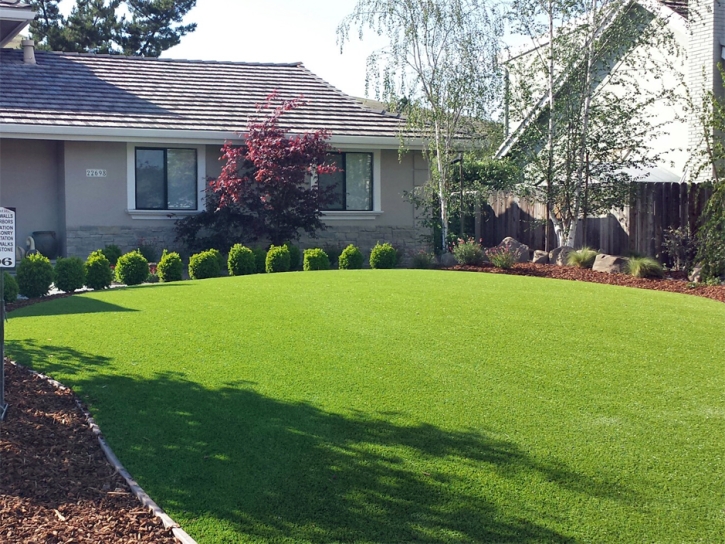 Fake Turf Calumet Park Illinois Lawn Recreational Areas