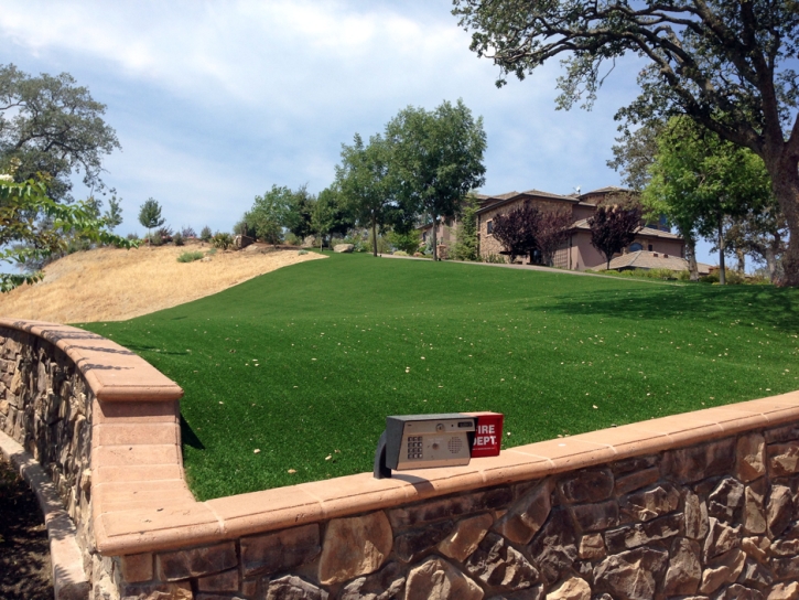 Fake Turf East Chicago Indiana Landscape Back Yard